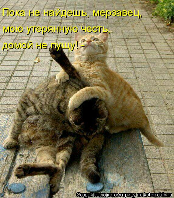 домой не пущу! - мою утерянную честь, Пока не найдешь, мерзавец,... Котоматрица: домой не пущу! - мою утерянную честь, Пока не найдешь, мерзавец,