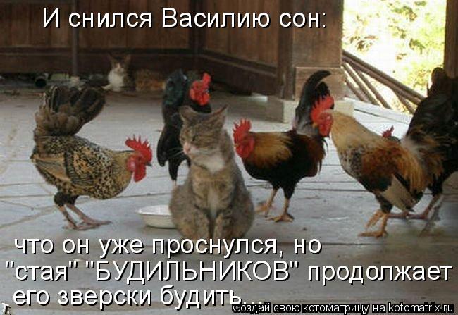 И снился Василию сон: что он уже проснулся, но "стая" "БУДИЛЬНИКОВ" продолжает его зверски будить...... Котоматрица: И снился Василию сон: что он уже проснулся, но "стая" "БУДИЛЬНИКОВ" продолжает его зверски будить...