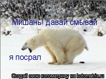Мишань! давай смывай я посрал я посрал... Котоматрица: Мишань! давай смывай я посрал я посрал
