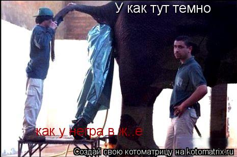 У как тут темно как у негра в ж..е... Котоматрица: У как тут темно как у негра в ж..е
