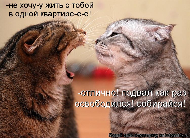 -не хочу-у жить с тобой в одной квартире-е-е! -отлично! подвал как раз освободился! собирайся!... Котоматрица: -не хочу-у жить с тобой в одной квартире-е-е! -отлично! подвал как раз освободился! собирайся!