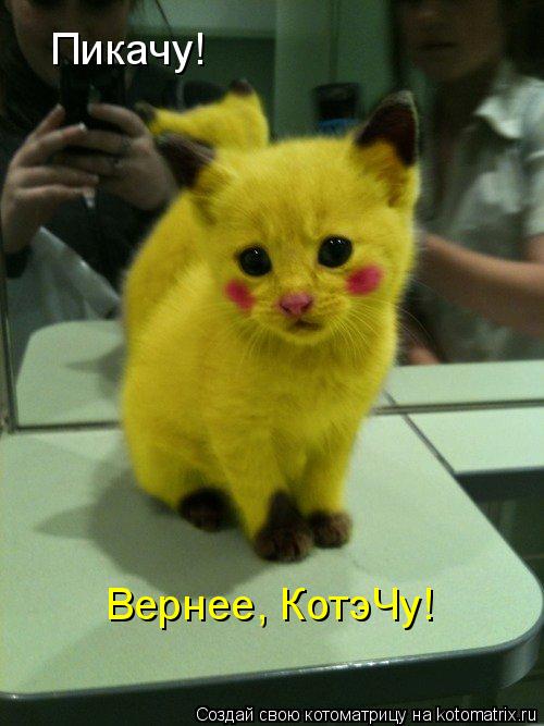 Пикачу! Вернее, КотэЧу!... Котоматрица: Пикачу! Вернее, КотэЧу!