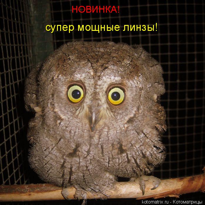 НОВИНКА! супер мощные линзы!... Котоматрица: НОВИНКА! супер мощные линзы!