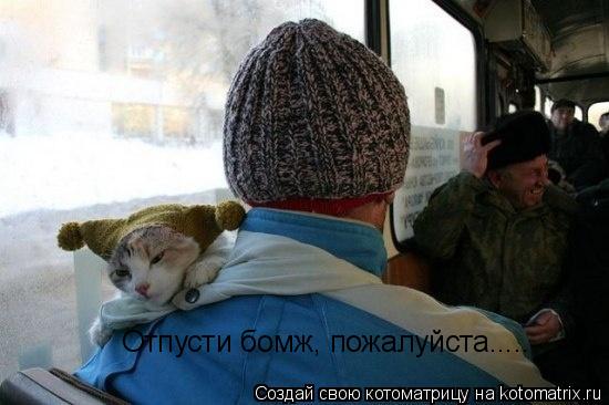 Отпусти бомж, пожалуйста........ Котоматрица: Отпусти бомж, пожалуйста.....