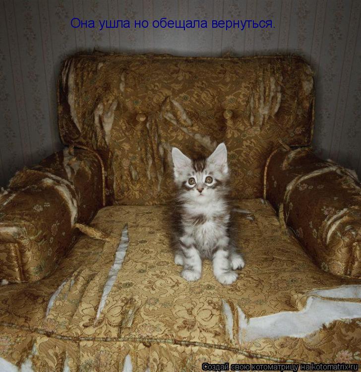 Она ушла но обещала вернуться.... Котоматрица: Она ушла но обещала вернуться.