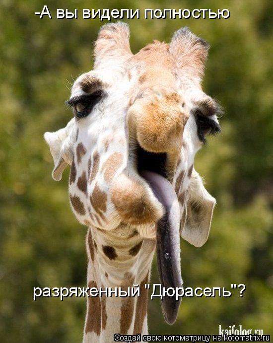 -А вы видели полностью разряженный "Дюрасель"?... Котоматрица: -А вы видели полностью разряженный "Дюрасель"?