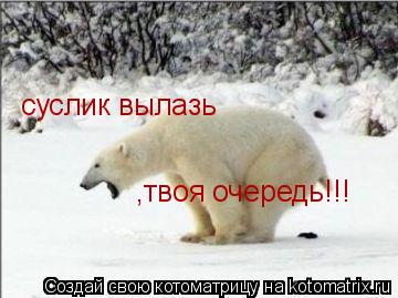 суслик вылазь ,твоя очередь!!!... Котоматрица: суслик вылазь ,твоя очередь!!!