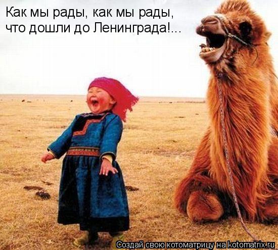 Как мы рады, как мы рады, что дошли до Ленинграда!...... Котоматрица: Как мы рады, как мы рады, что дошли до Ленинграда!...
