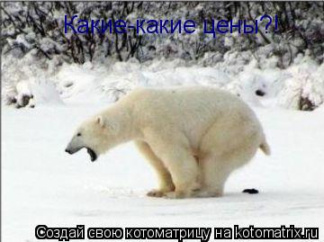 Какие-какие цены?!... Котоматрица: Какие-какие цены?!