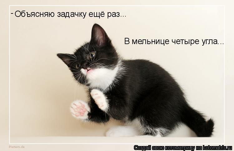 Объясняю задачку ещё раз ... В мельнице четыре угла... -... Котоматрица: Объясняю задачку ещё раз ... В мельнице четыре угла... -