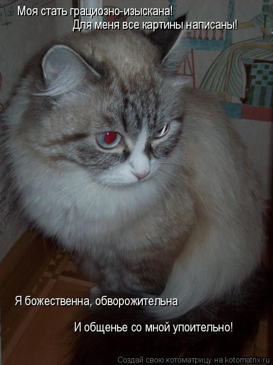 Моя стать грациозно-изыскана! Для меня все картины написаны! Я божественна, обворожительна И общенье... Котоматрица: Моя стать грациозно-изыскана! Для меня все картины написаны! Я божественна, обворожительна И общенье со мной упоительно!