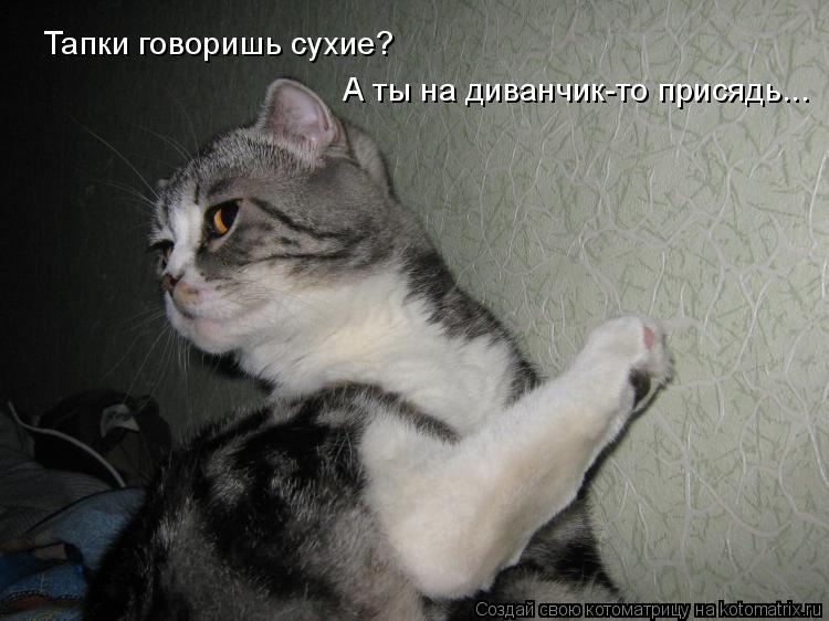 Тапки говоришь сухие? А ты на диванчик-то присядь...... Котоматрица: Тапки говоришь сухие? А ты на диванчик-то присядь...