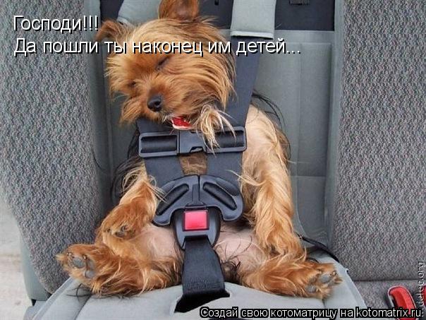 Господи!!! Да пошли ты наконец им детей...... Котоматрица: Господи!!! Да пошли ты наконец им детей...
