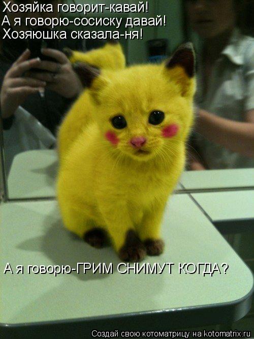 Хозяйка говорит-кавай! А я говорю-сосиску давай! Хозяюшка сказала-ня! А я говорю-ГРИМ СНИМУТ КОГДА?... Котоматрица: Хозяйка говорит-кавай! А я говорю-сосиску давай! Хозяюшка сказала-ня! А я говорю-ГРИМ СНИМУТ КОГДА?