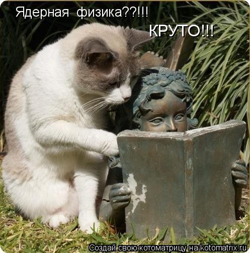 Ядерная физика??!!! КРУТО!!!... Котоматрица: Ядерная физика??!!! КРУТО!!!