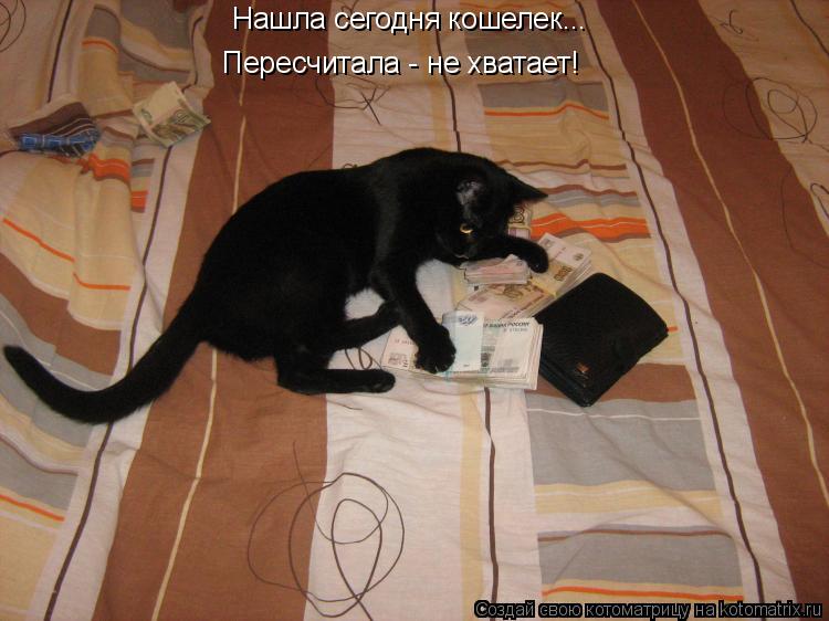 Нашла сегодня кошелек... Пересчитала - не хватает!... Котоматрица: Нашла сегодня кошелек... Пересчитала - не хватает!