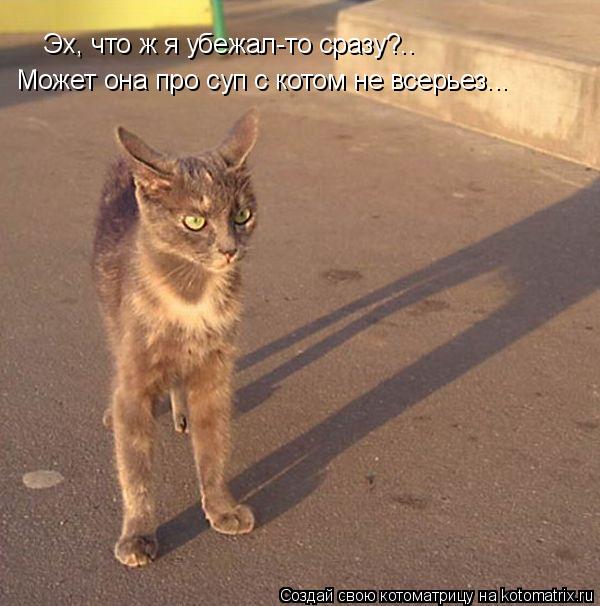 Эх, что ж я убежал-то сразу?.. Может она про суп с котом не всерьез...... Котоматрица: Эх, что ж я убежал-то сразу?.. Может она про суп с котом не всерьез...