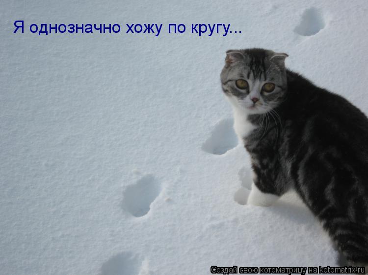 Я однозначно хожу по кругу...... Котоматрица: Я однозначно хожу по кругу...