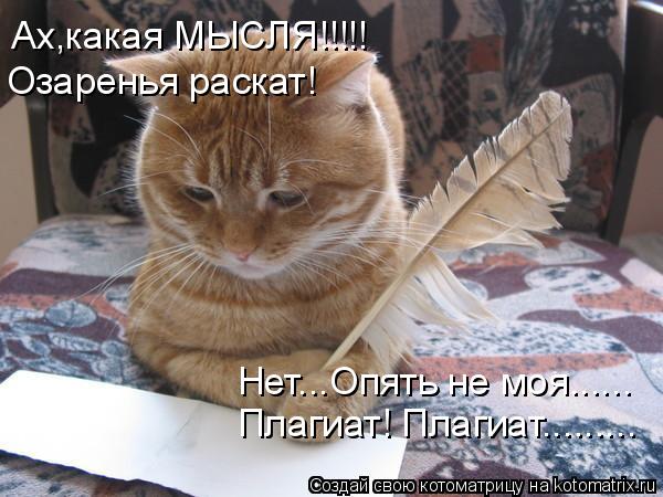 Котоматрица: Плагиат! Плагиат......... Ах,какая МЫСЛЯ!!!!! Озаренья раскат! Нет...Опять не моя......