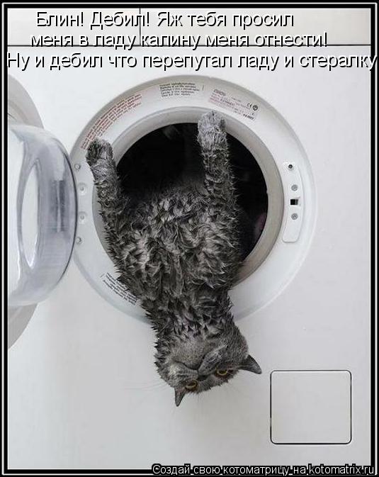 Блин! Дебил! Яж тебя просил меня в ладу калину меня отнести! Ну и дебил что перепутал ладу и стералк... Котоматрица: Блин! Дебил! Яж тебя просил меня в ладу калину меня отнести! Ну и дебил что перепутал ладу и стералку