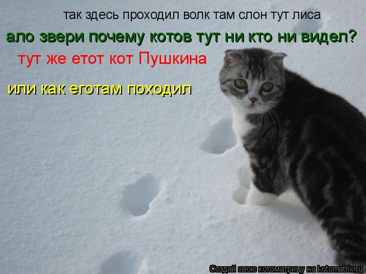так здесь проходил волк там слон тут лиса ало звери почему котов тут ни кто ни видел? тут же етот ко... Котоматрица: так здесь проходил волк там слон тут лиса ало звери почему котов тут ни кто ни видел? тут же етот кот Пушкина или как еготам походил