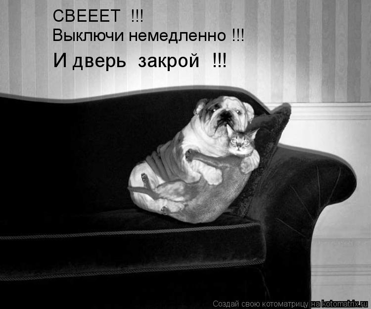СВЕЕЕТ !!! Выключи немедленно !!! И дверь закрой !!!... Котоматрица: СВЕЕЕТ !!! Выключи немедленно !!! И дверь закрой !!!