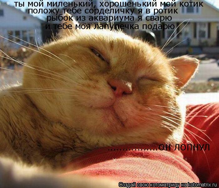 ты мой миленький, хорошенький мой котик положу тебе сорделичку я в ротик рыбок из аквариума я сварю и... Котоматрица: ты мой миленький, хорошенький мой котик положу тебе сорделичку я в ротик рыбок из аквариума я сварю и тебе моя лапулечка подарю .................ОН