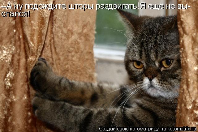 --А ну подождите шторы раздвигать!Я ещё не вы- спался!... Котоматрица: --А ну подождите шторы раздвигать!Я ещё не вы- спался!