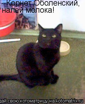 --Корнет Оболенский, налей молока!... Котоматрица: --Корнет Оболенский, налей молока!