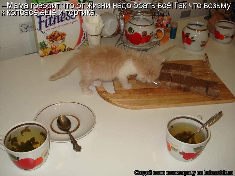 --Мама говорит,что от жизни надо брать всё!Так что возьму к колбасе ещё и тортика!... Котоматрица: --Мама говорит,что от жизни надо брать всё!Так что возьму к колбасе ещё и тортика!