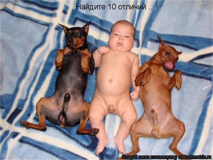 Найдите 10 отличий ..... Котоматрица: Найдите 10 отличий ..
