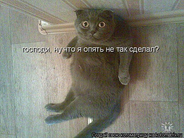 господи, ну что я опять не так сделал?... Котоматрица: господи, ну что я опять не так сделал?