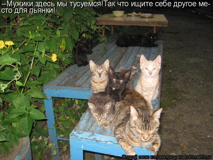 --Мужики,здесь мы тусуемся!Так что ищите себе другое ме- сто для пьянки!... Котоматрица: --Мужики,здесь мы тусуемся!Так что ищите себе другое ме- сто для пьянки!