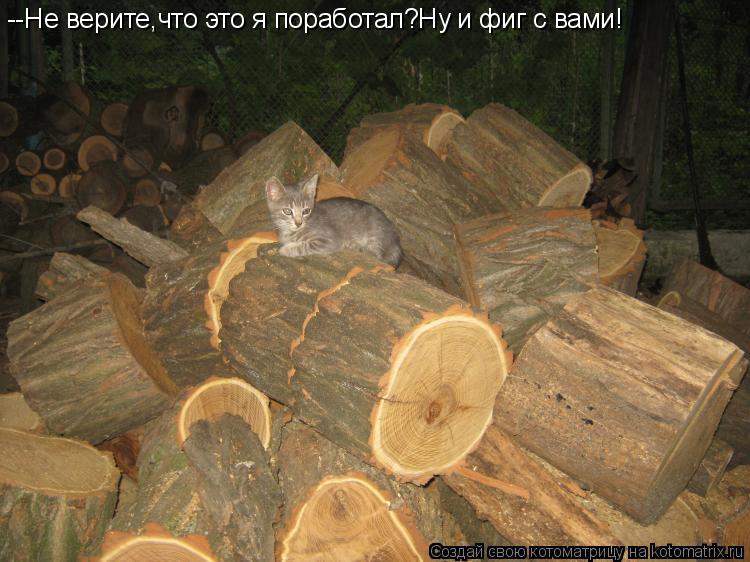--Не верите,что это я поработал?Ну и фиг с вами!... Котоматрица: --Не верите,что это я поработал?Ну и фиг с вами!