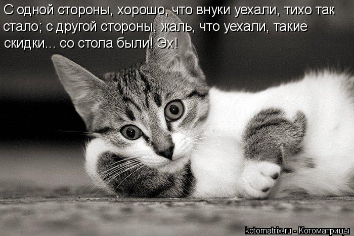 Котоматрица: С одной стороны, хорошо, что внуки уехали, тихо так стало; с другой стороны, жаль, что уехали, такие  скидки... со стола были! Эх!