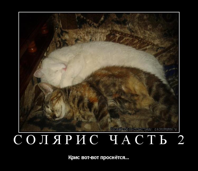 Солярис часть 2 Крис вот-вот проснётся...... Котоматрица: Солярис часть 2 Крис вот-вот проснётся...