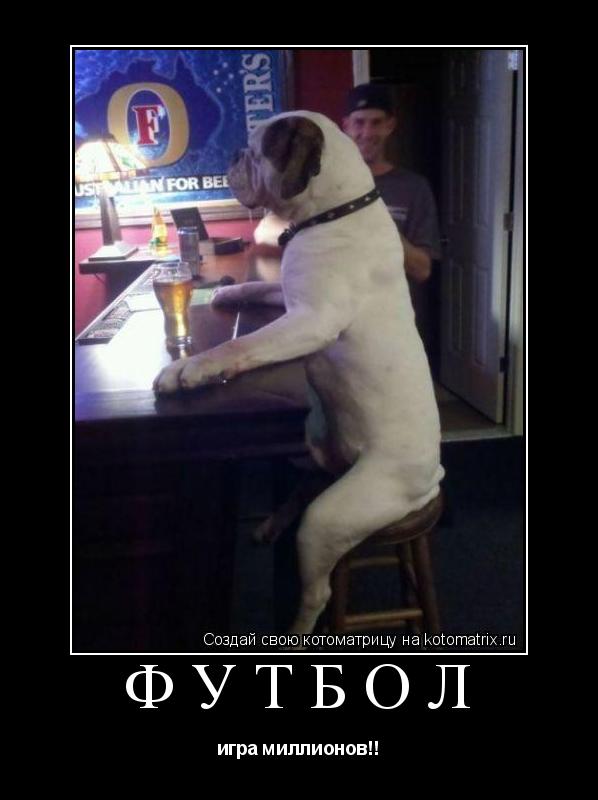 ФУТБОЛ игра миллионов!!... Котоматрица: ФУТБОЛ игра миллионов!!