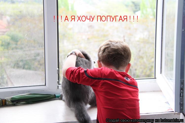 ! ! ! А Я ХОЧУ ПОПУГАЯ ! ! !... Котоматрица: ! ! ! А Я ХОЧУ ПОПУГАЯ ! ! !