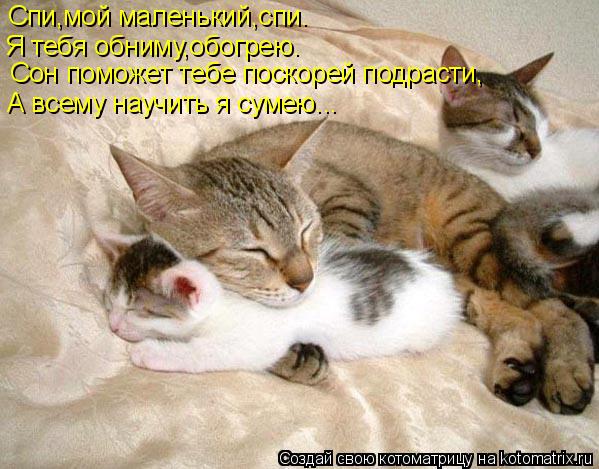 Спи,мой маленький,спи. Я тебя обниму,обогрею. Сон поможет тебе поскорей подрасти, А всему научить я с... Котоматрица: Спи,мой маленький,спи. Я тебя обниму,обогрею. Сон поможет тебе поскорей подрасти, А всему научить я сумею...
