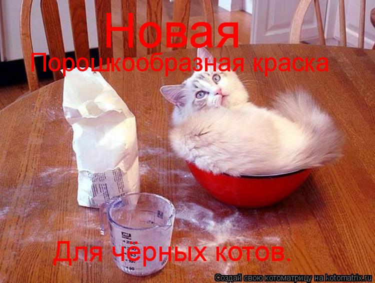 Новая Порошкообразная краска Для чёрных котов.... Котоматрица: Новая Порошкообразная краска Для чёрных котов.