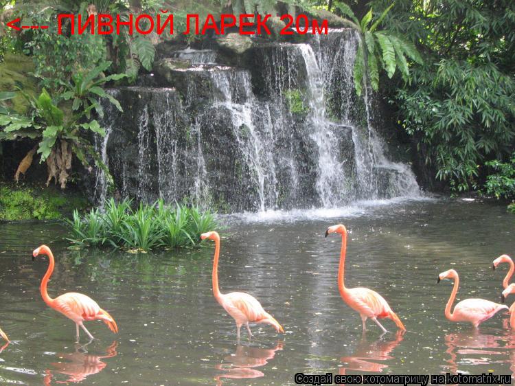 <--- ПИВНОЙ ЛАРЕК 20м... Котоматрица: <--- ПИВНОЙ ЛАРЕК 20м