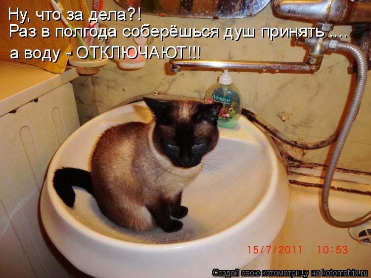 Ну, что за дела?! Раз в полгода соберёшься душ принять .... а воду - ОТКЛЮЧАЮТ!!!... Котоматрица: Ну, что за дела?! Раз в полгода соберёшься душ принять .... а воду - ОТКЛЮЧАЮТ!!!