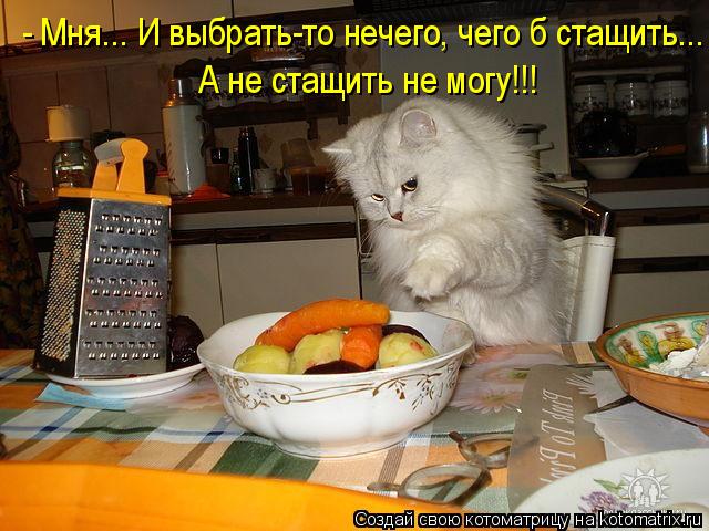 А не стащить не могу!!! - Мня... И выбрать-то нечего, чего б стащить...... Котоматрица: А не стащить не могу!!! - Мня... И выбрать-то нечего, чего б стащить...