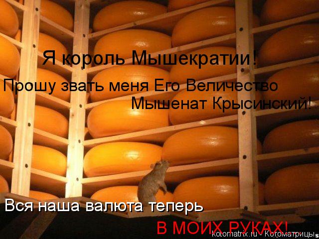 Я король Мышекратии! Прошу звать меня Его Величество Мышенат Крысинский! Вся наша валюта теперь В МО... Котоматрица: Я король Мышекратии! Прошу звать меня Его Величество Мышенат Крысинский! Вся наша валюта теперь В МОИХ РУКАХ!...