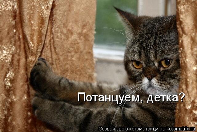 Потанцуем, детка?... Котоматрица: Потанцуем, детка?