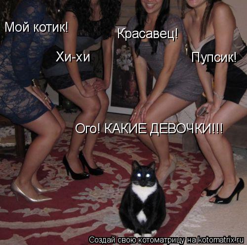 Мой котик! Хи-хи Красавец! Пупсик! Ого! КАКИЕ ДЕВОЧКИ!!!... Котоматрица: Мой котик! Хи-хи Красавец! Пупсик! Ого! КАКИЕ ДЕВОЧКИ!!!