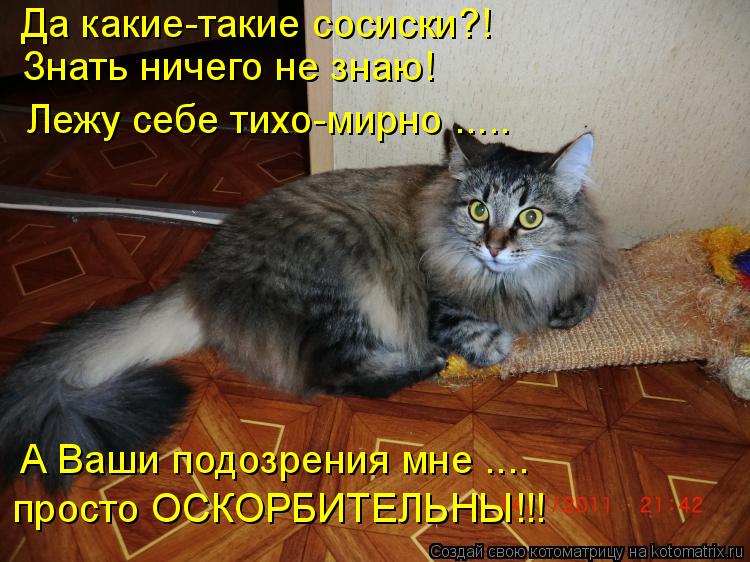 Да какие-такие сосиски?! Знать ничего не знаю! Лежу себе тихо-мирно ..... просто ОСКОРБИТЕЛЬНЫ!!! А В... Котоматрица: Да какие-такие сосиски?! Знать ничего не знаю! Лежу себе тихо-мирно ..... просто ОСКОРБИТЕЛЬНЫ!!! А Ваши подозрения мне ....