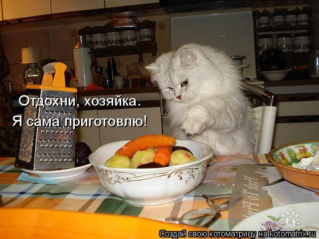 Отдохни, хозяйка. Я сама приготовлю!... Котоматрица: Отдохни, хозяйка. Я сама приготовлю!