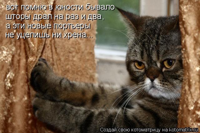 вот помню в юности бывало шторы драл на раз и два а эти новые портьеры не уцепишь ни хрена... ,... Котоматрица: вот помню в юности бывало шторы драл на раз и два а эти новые портьеры не уцепишь ни хрена... ,