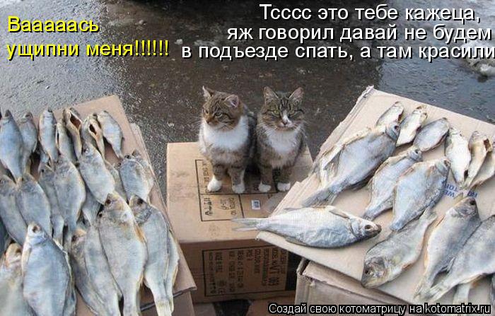 Тсссс это тебе кажеца, яж говорил давай не будем в подъезде спать, а там красили... Вааааась ущипни м... Котоматрица: Тсссс это тебе кажеца, яж говорил давай не будем в подъезде спать, а там красили... Вааааась ущипни меня!!!!!!